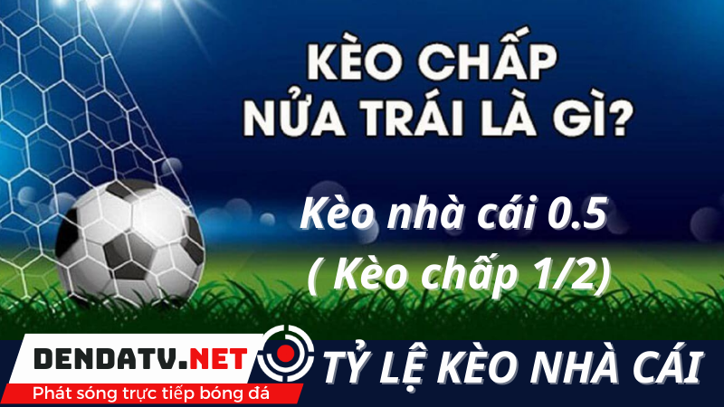 chi-tiet-keo-nha-cai-0-5-keo-chap-½-cho-nguoi-moi-anh-1